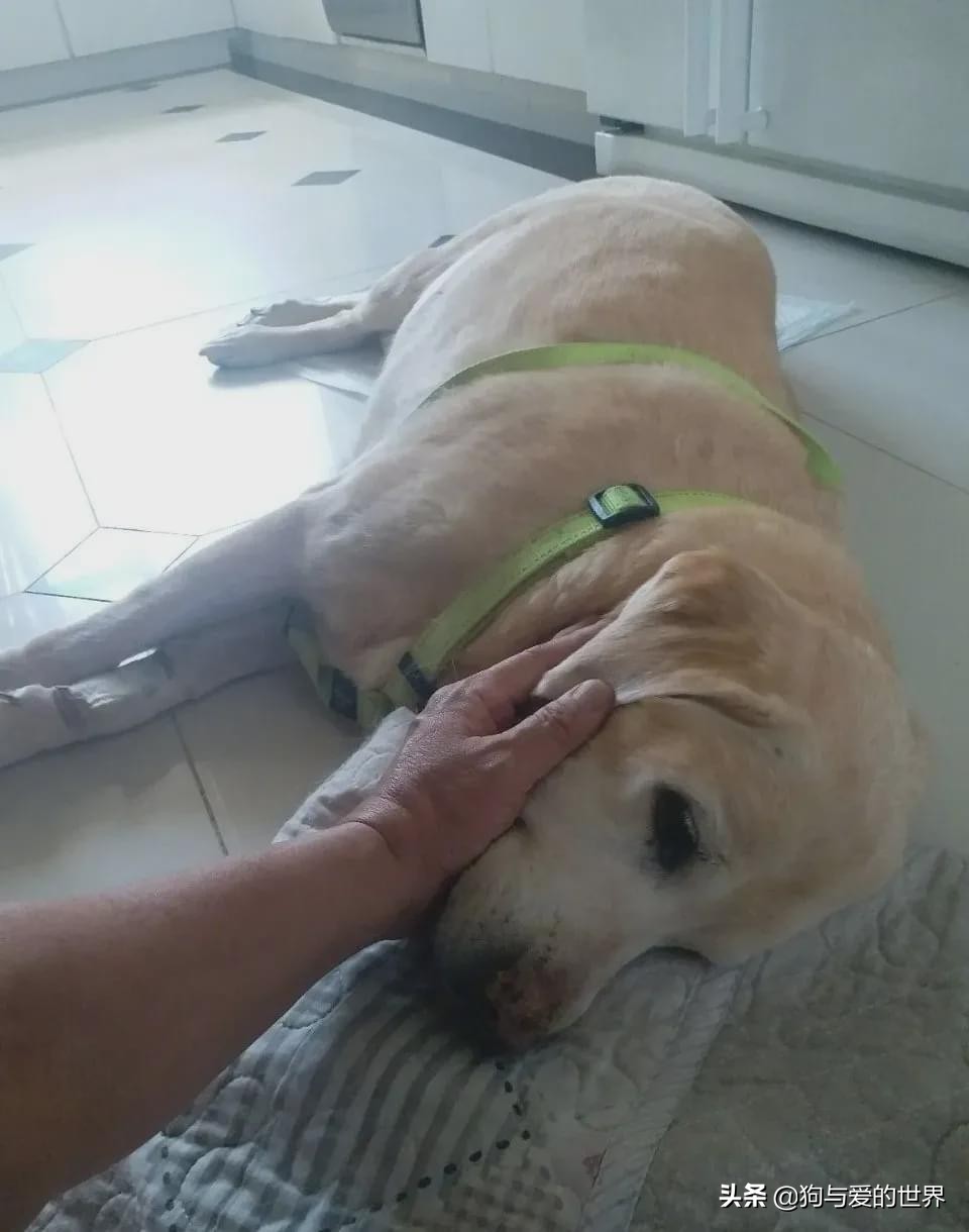 尔冬升怼哭郭敬明的时候 (尔冬升怼哭郭敬明是炒作吗)