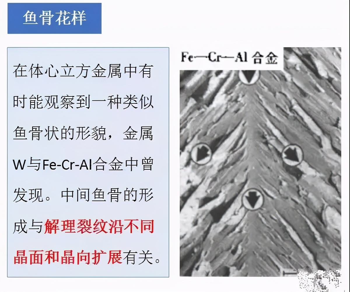 材料表面裂纹分析,材料断口图谱