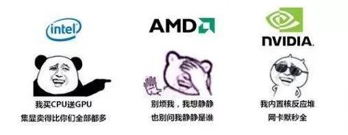 新手小白笔记本入门推荐,初学者怎样选择笔记本