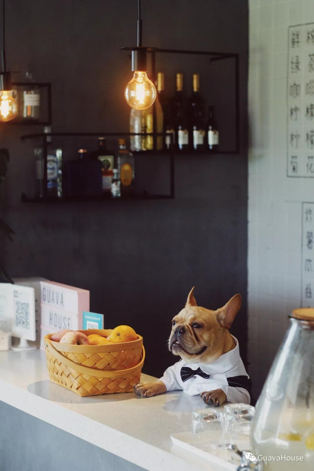 探店民宿普通房间,野风艺栈轰趴主题民宿