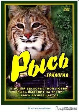 铲屎官的收藏,铲屎官不容错过的宠物清单