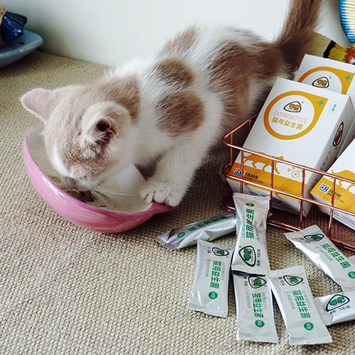 猫咪拉肚子吃蒙脱石散用量,猫咪绝育后拉肚子怎么回事