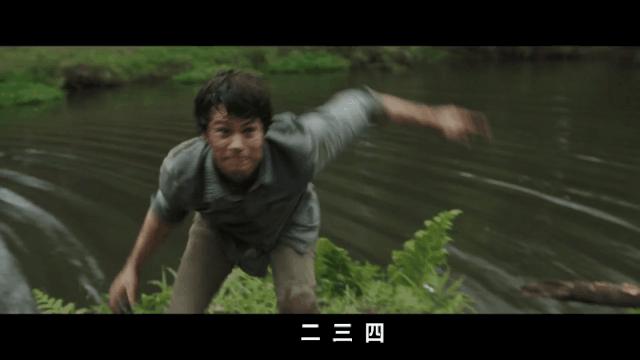 国内评分低国外评分高的电视剧,上映八天评分飙到8.4