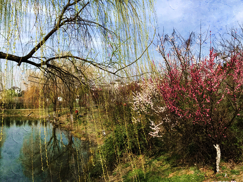 春至牛首，世凹春妆，画中徜徉，处处诗章-游南京江宁世凹桃源