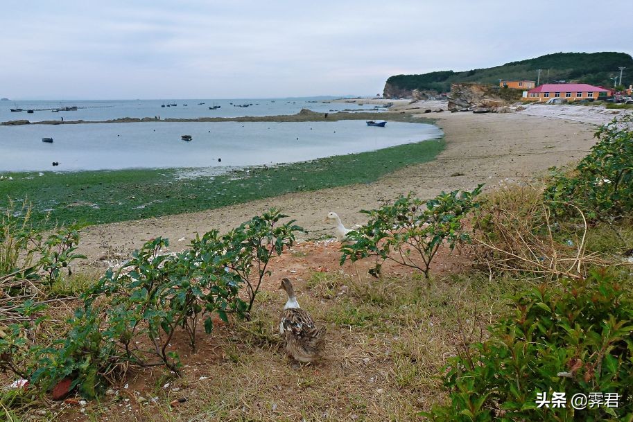 大连皮口港当天往返攻略,大连皮口港坐船攻略
