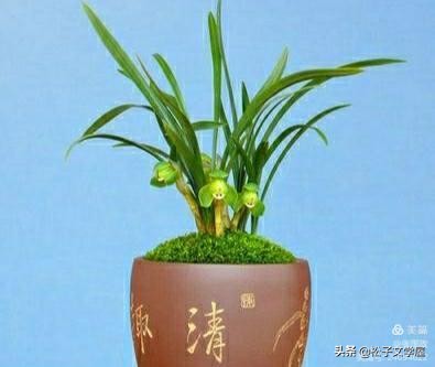 如何提高做美篇的能力,如何提高美篇阅读量