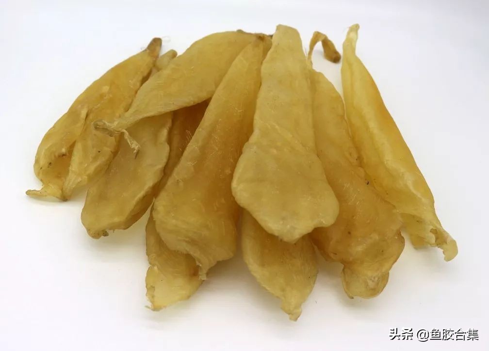 鱼鳔胶顶级,花胶鱼鳔图片