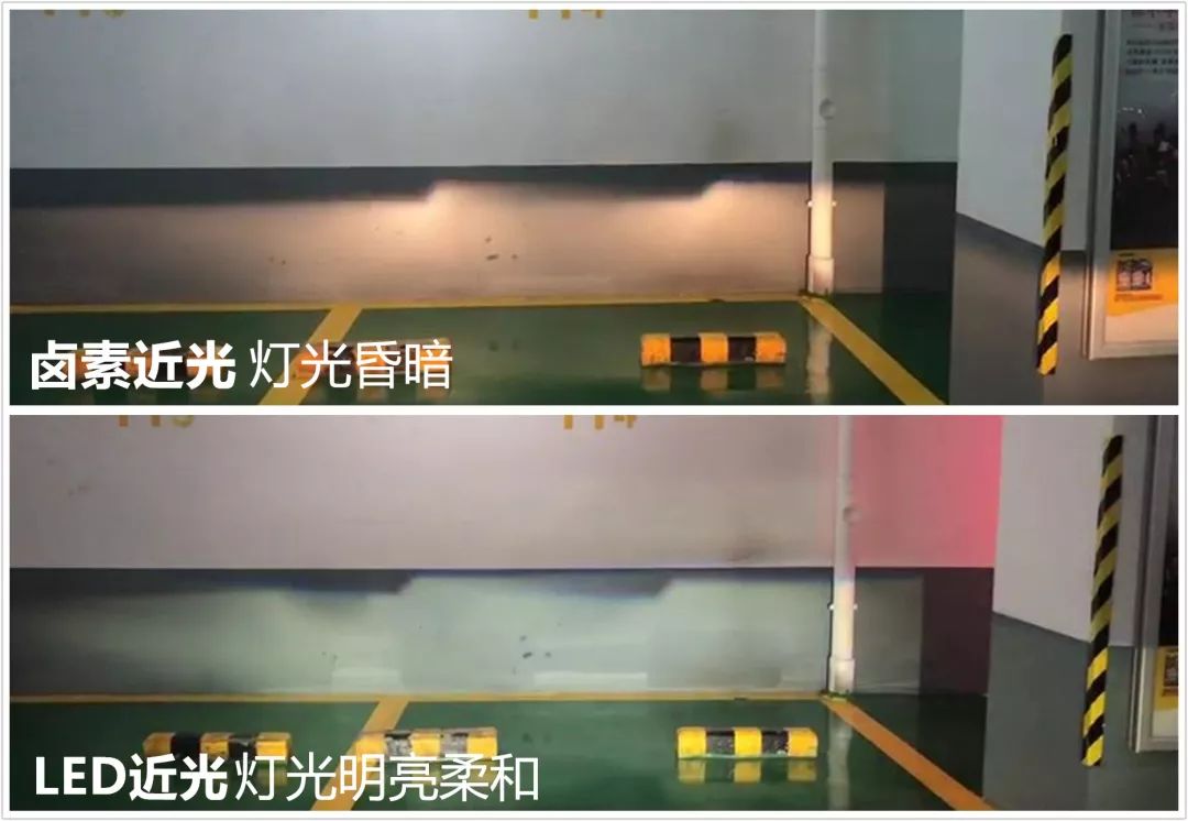 治远光狗最有效的方法,专治远光狗方法