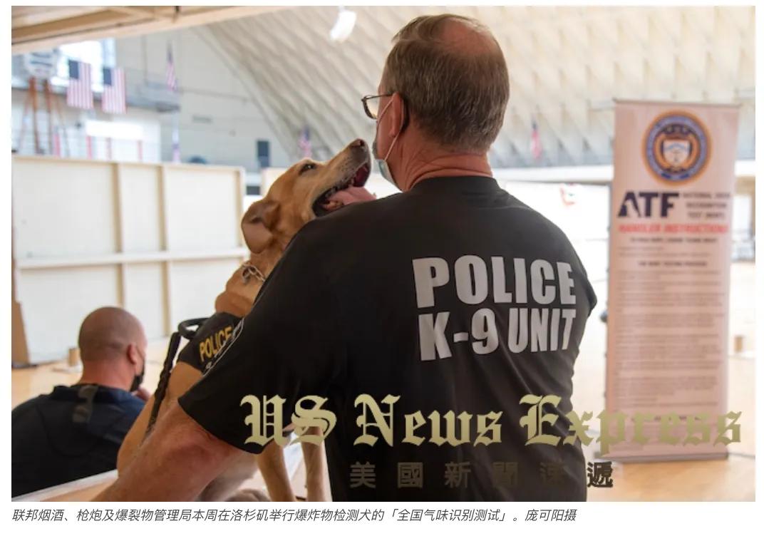 「锐视频」狗鼻子不灵不行美国警犬这样训的