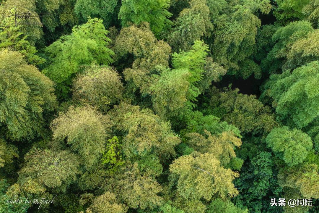 上虞有什么高档的宾馆,上虞宾馆几星级