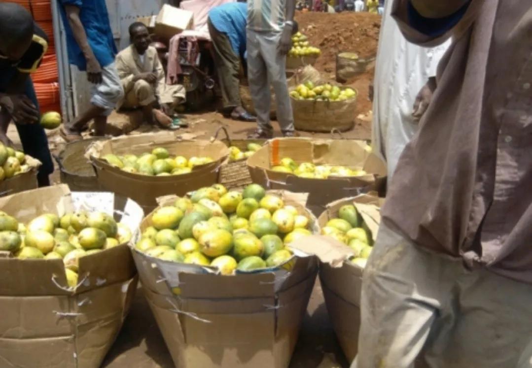 非洲最穷国家“尼日尔”，带你们看看他们的真实生活
