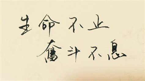 回头看我们早已不是当初的模样,回头看我们都不再是原来的样子