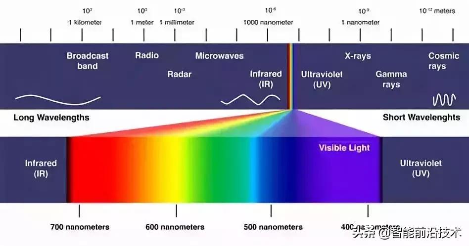 突破视觉极限！打一针就能看见红外线，中国科学家打造超能力鼠