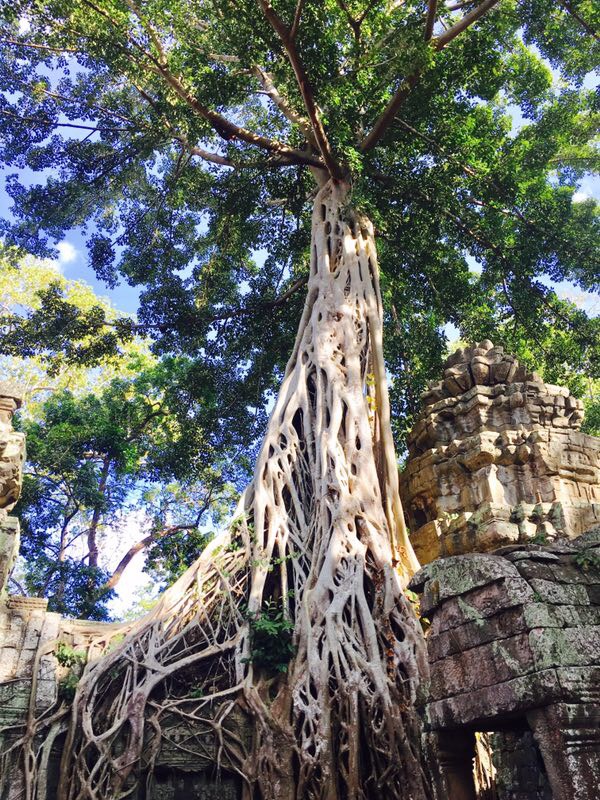 柬埔寨贫穷全球排名第几,柬埔寨世界最穷的国家