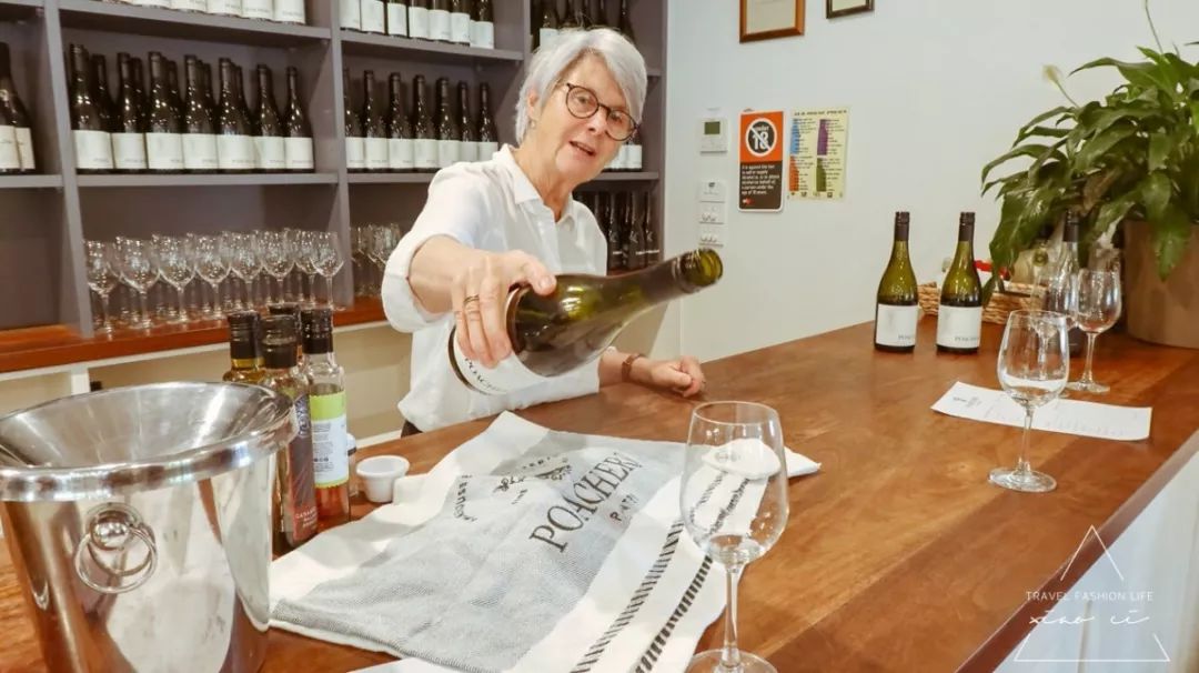 澳洲|春意堪培拉,看袋鼠、品酒、赏花、住进动物的家