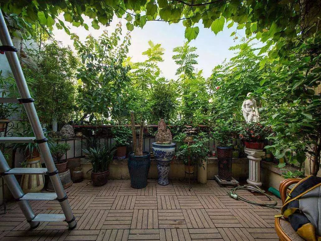 植物出现倒伏,怎样防止植物倒伏