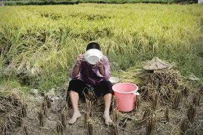 感人催人泪下的歌曲酒干倘卖无,酒干倘卖无催人泪下的感人视频