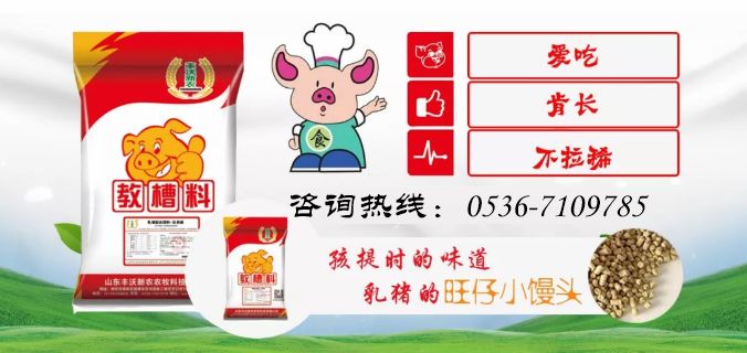 11月16号毛猪价格,6月18日毛猪价格行情