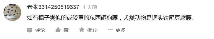 告诉孩子被狗咬怎么自救,如果小孩被狗咬怎么自救