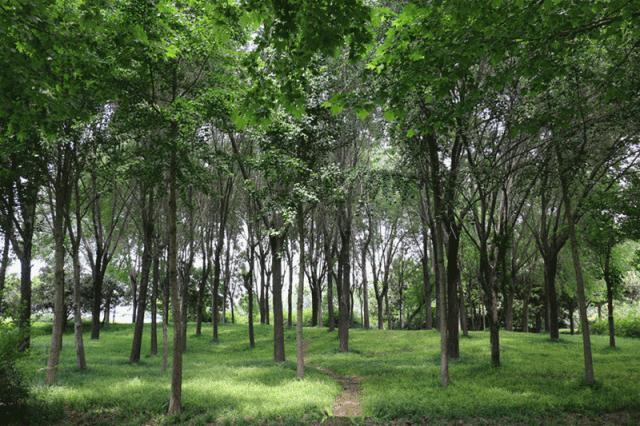 郑州最新规划利好,郑州未来有什么大事