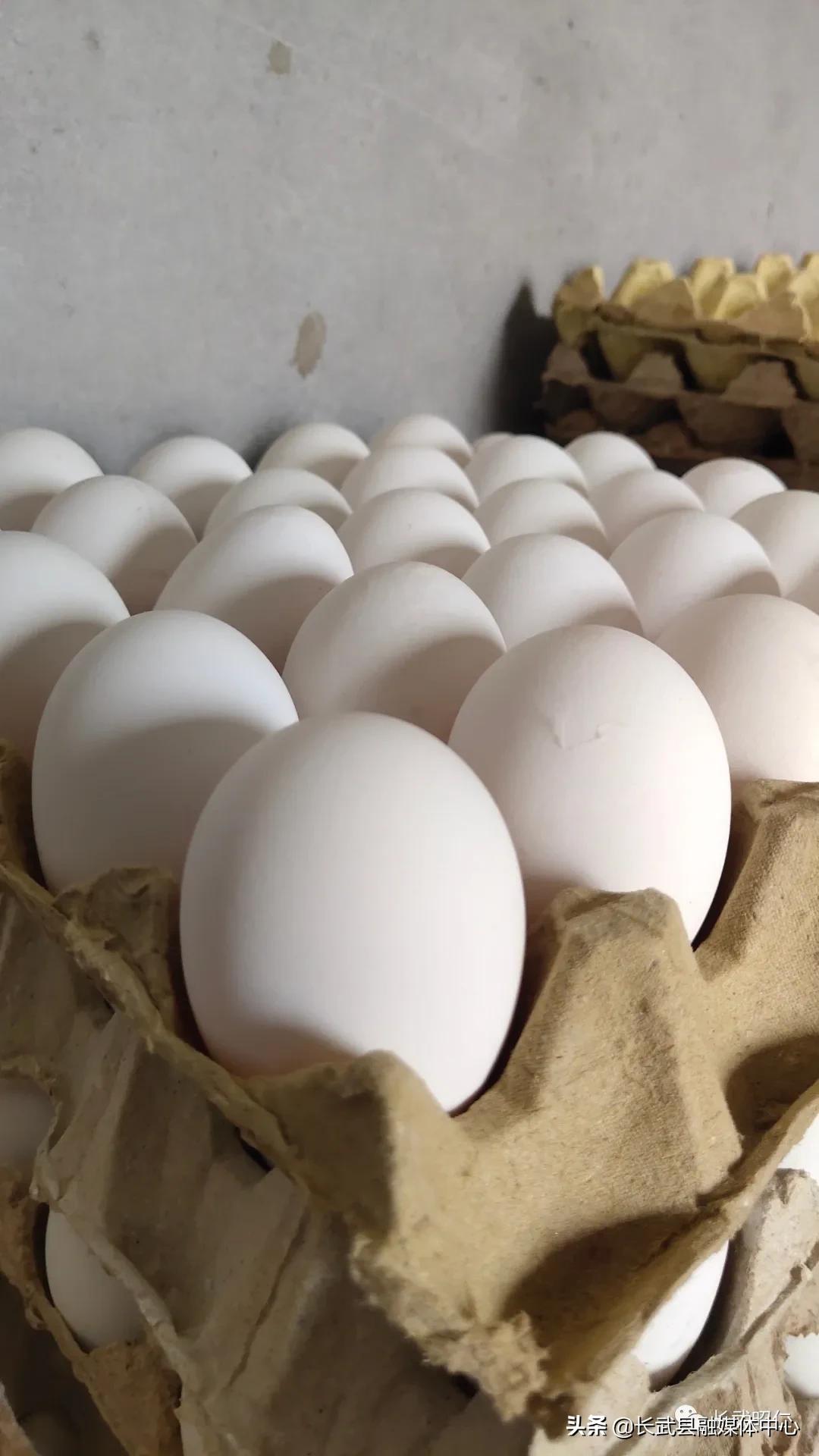 香椿炒鸡蛋的营养价值,冻过的香椿怎样炒鸡蛋