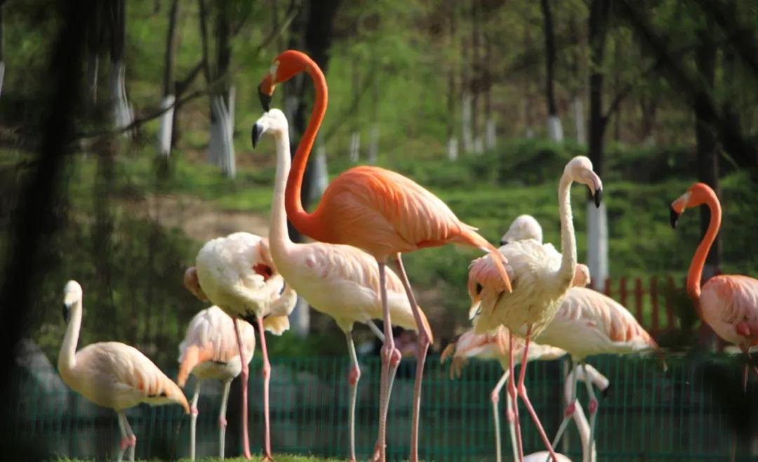 最美的乡村旅游攻略,五大最美乡村旅游攻略