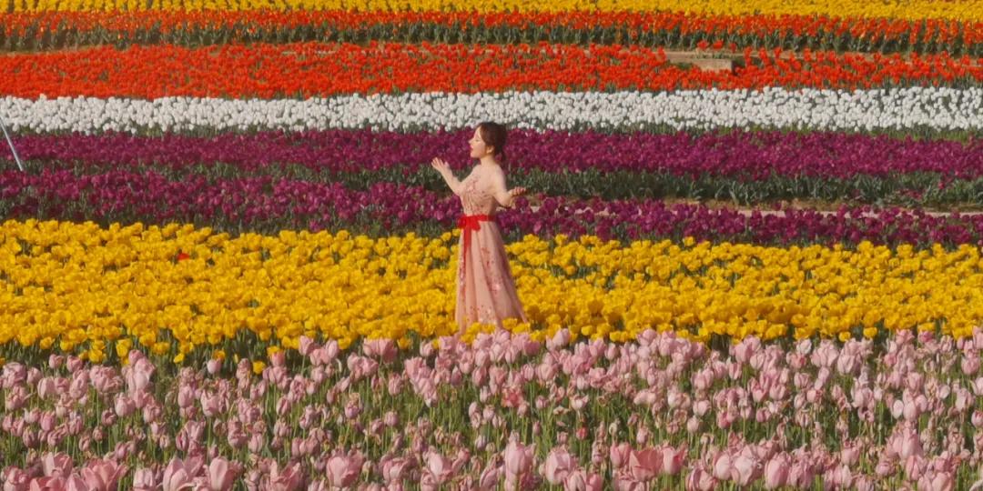 固始县西九华山风景区央视,河南固始九华山花千谷