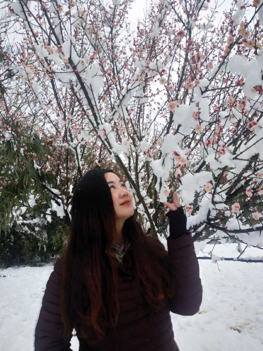 云天社山东分社,云天社厦门分社