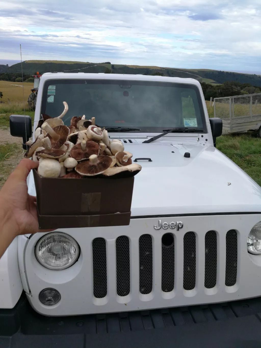 中国小伙去新西兰却横扫对手获得冠军，每份食材在手上都是艺术品