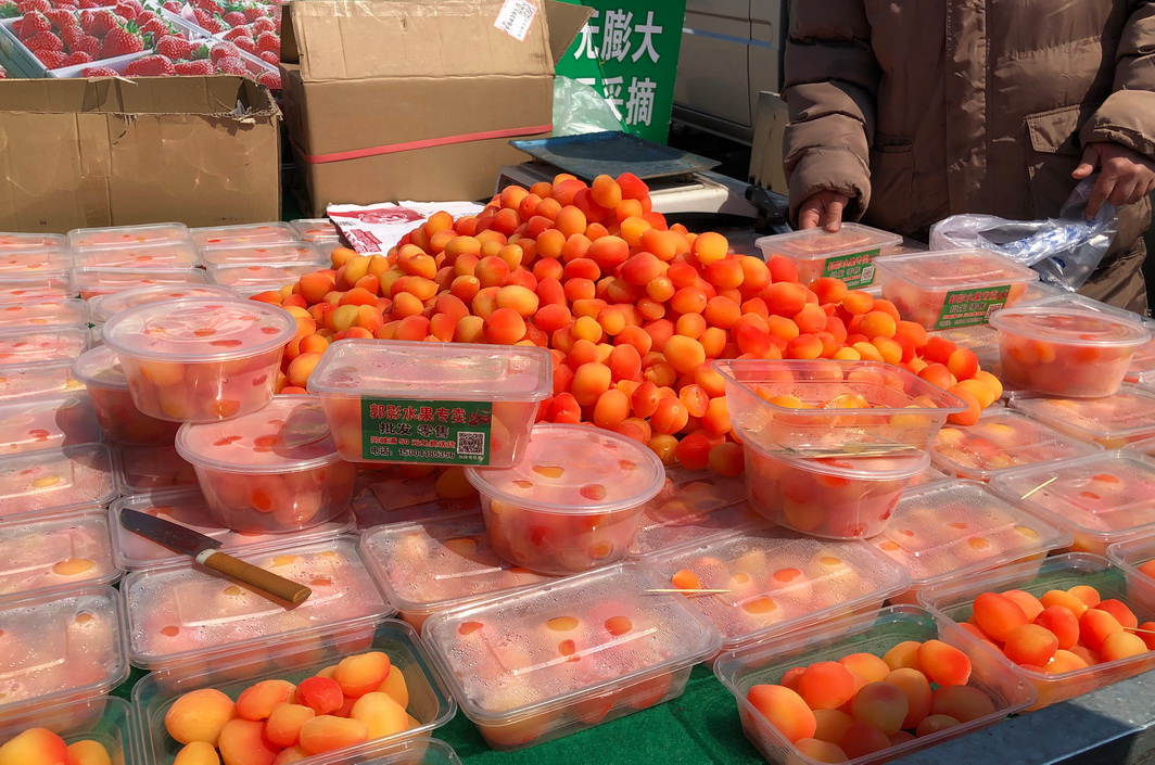 阜新各乡镇集市,阜新地方特色集市