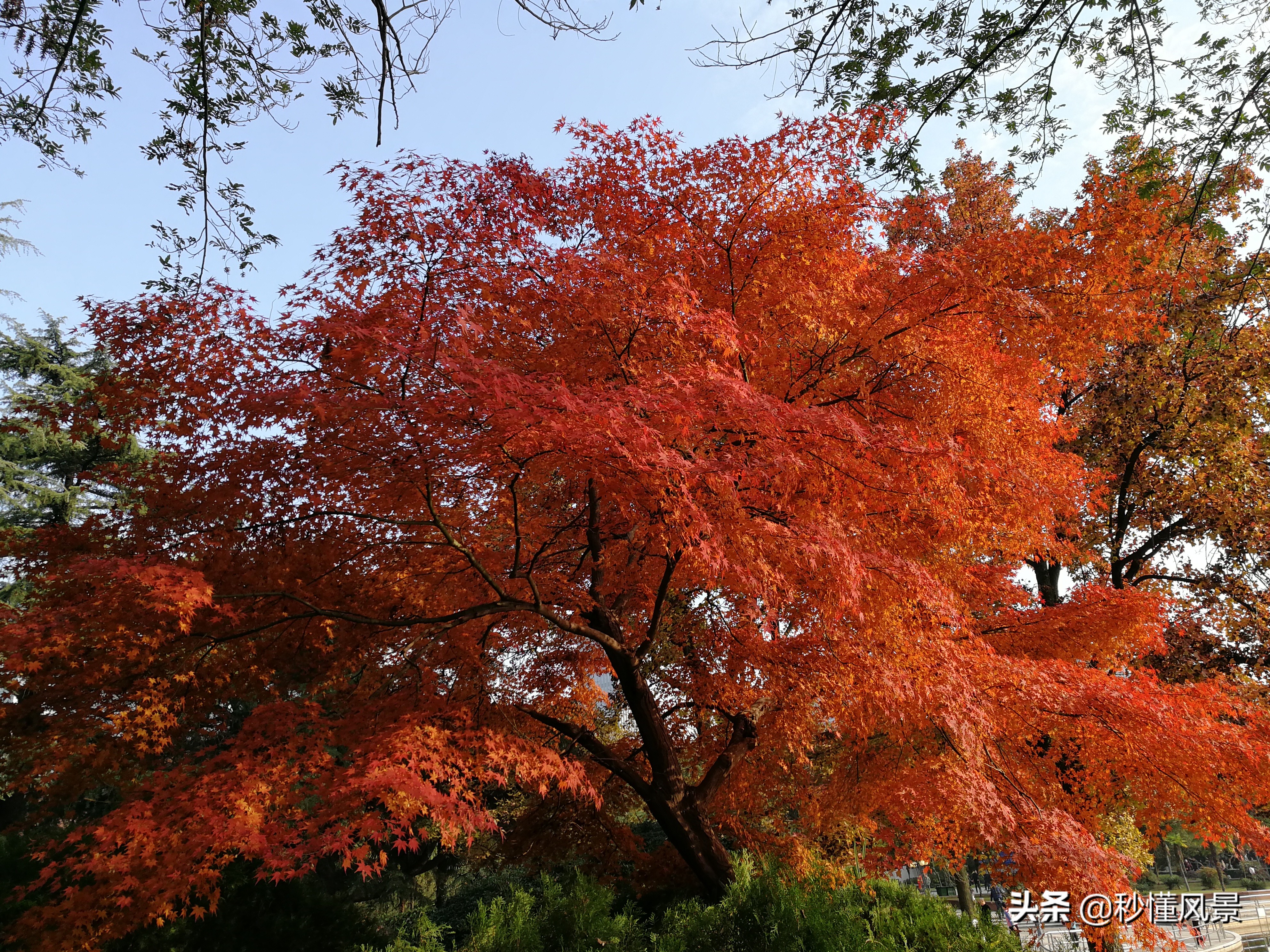 深秋武汉夜晚美景,秋日里的武汉