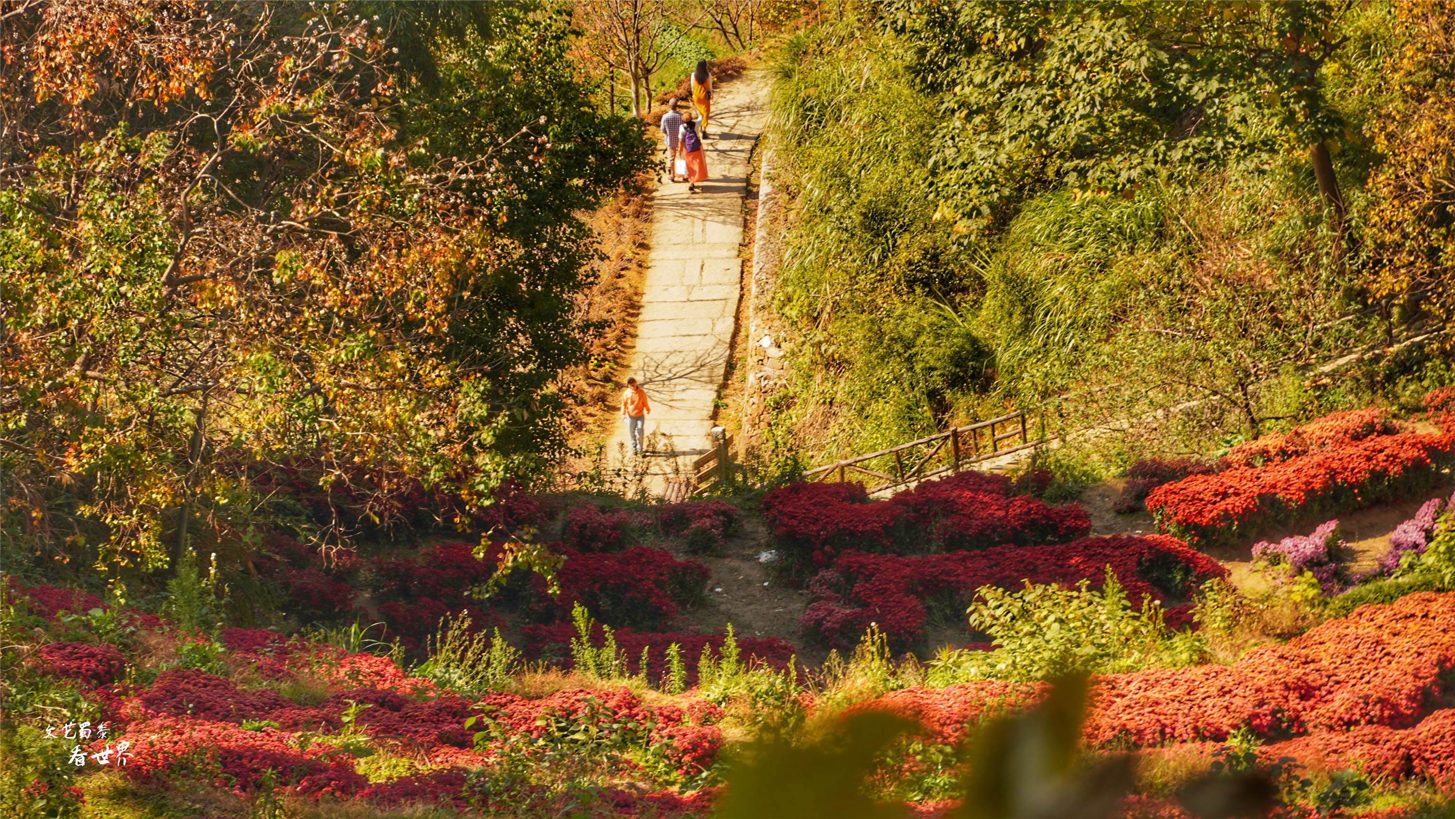 篁岭人山人海,江西婺源篁岭景区怎样玩最好