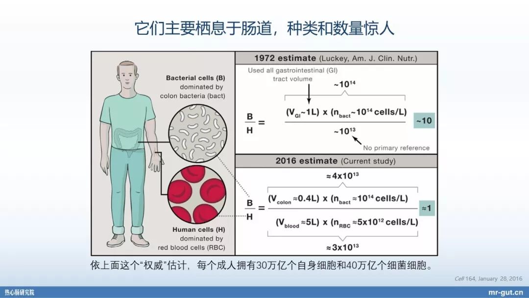 热心肠先生益生菌视频大全,热心肠先生全集