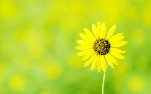 圆滑的人高情商的表现,一个人做事圆滑就是情商高