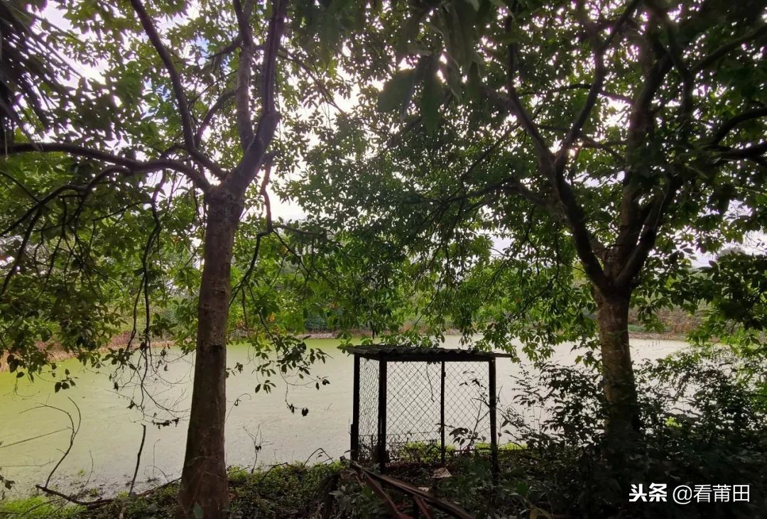 莆田快乐农庄以前的样子,莆田快乐农庄建什么