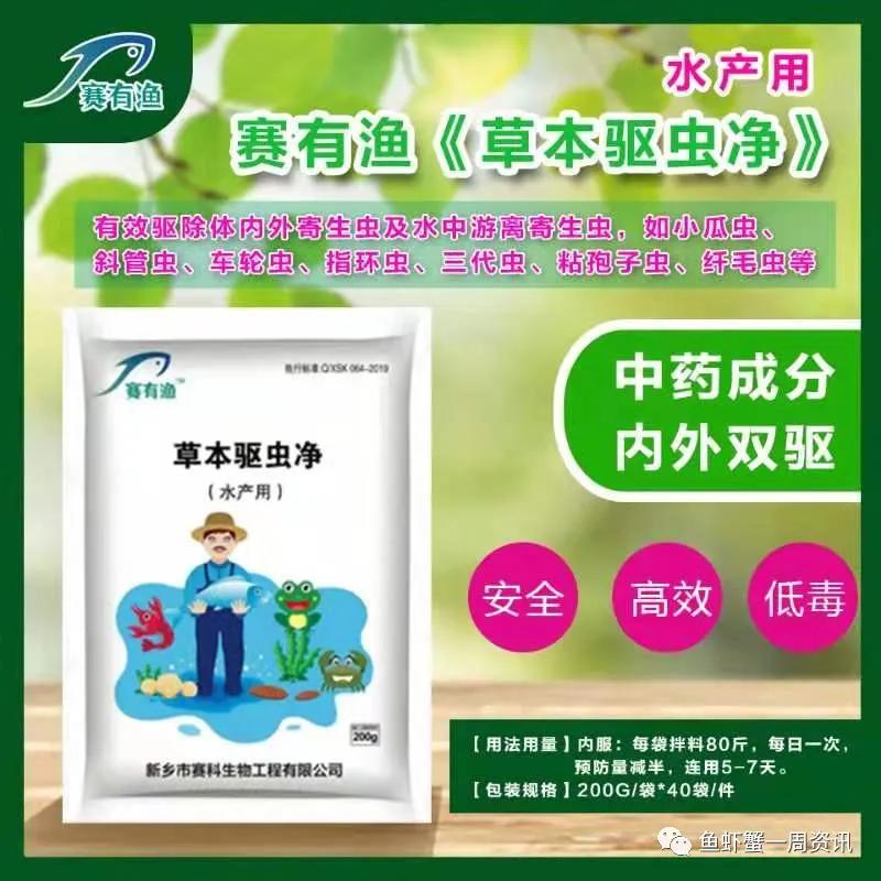 南美虾空肠空胃怎么解决,虾空肠空胃死亡原因