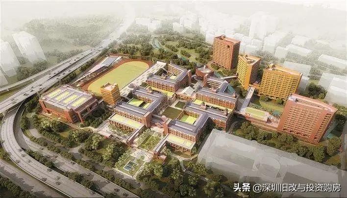 深中泥岗校区,深科大和南科大