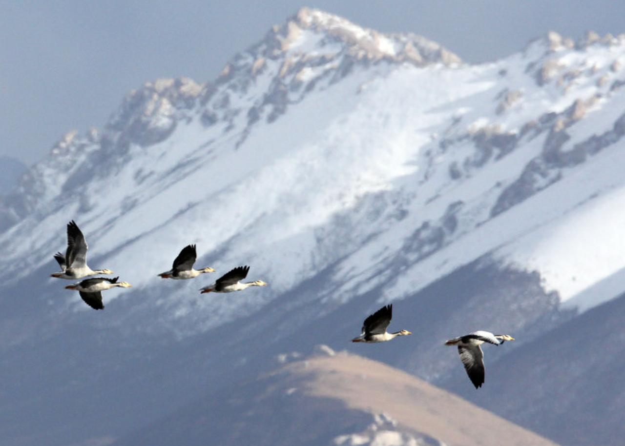 拜登谈美国大选最新视频,拜登谈2014年美国大选