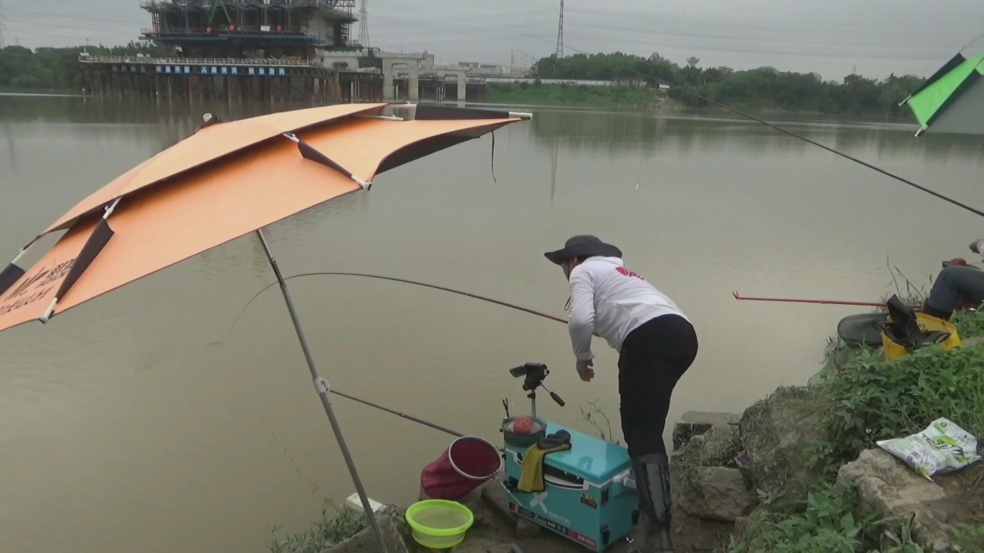 子线短了怎么调漂,钓鱼高手支招短子线的7种用法