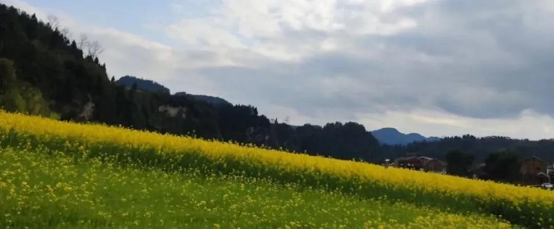 营口理工学院咋样,辽宁省公办高校营口理工学院