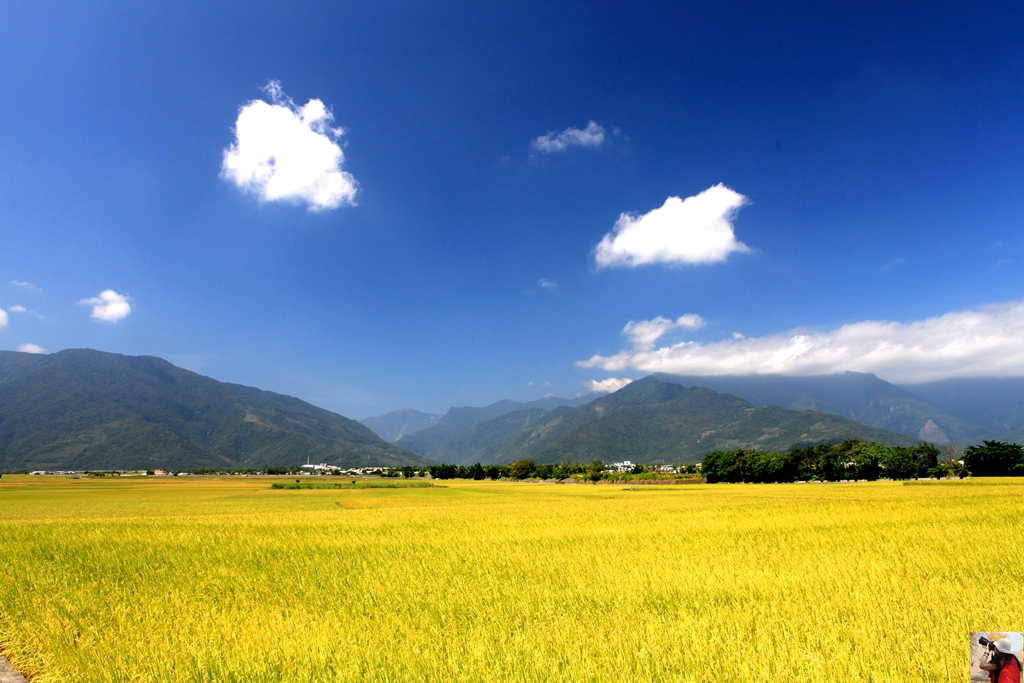 花东纵谷面积,花东纵谷什么意思