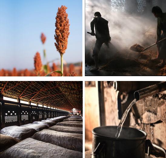 超市什么白酒卖得最好,超市常见的白酒有哪些