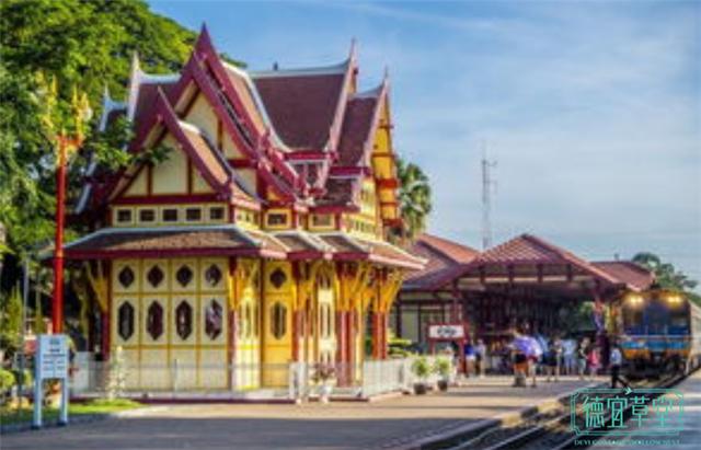 泰国燕窝为什么这么便宜,泰国燕窝很便宜吗