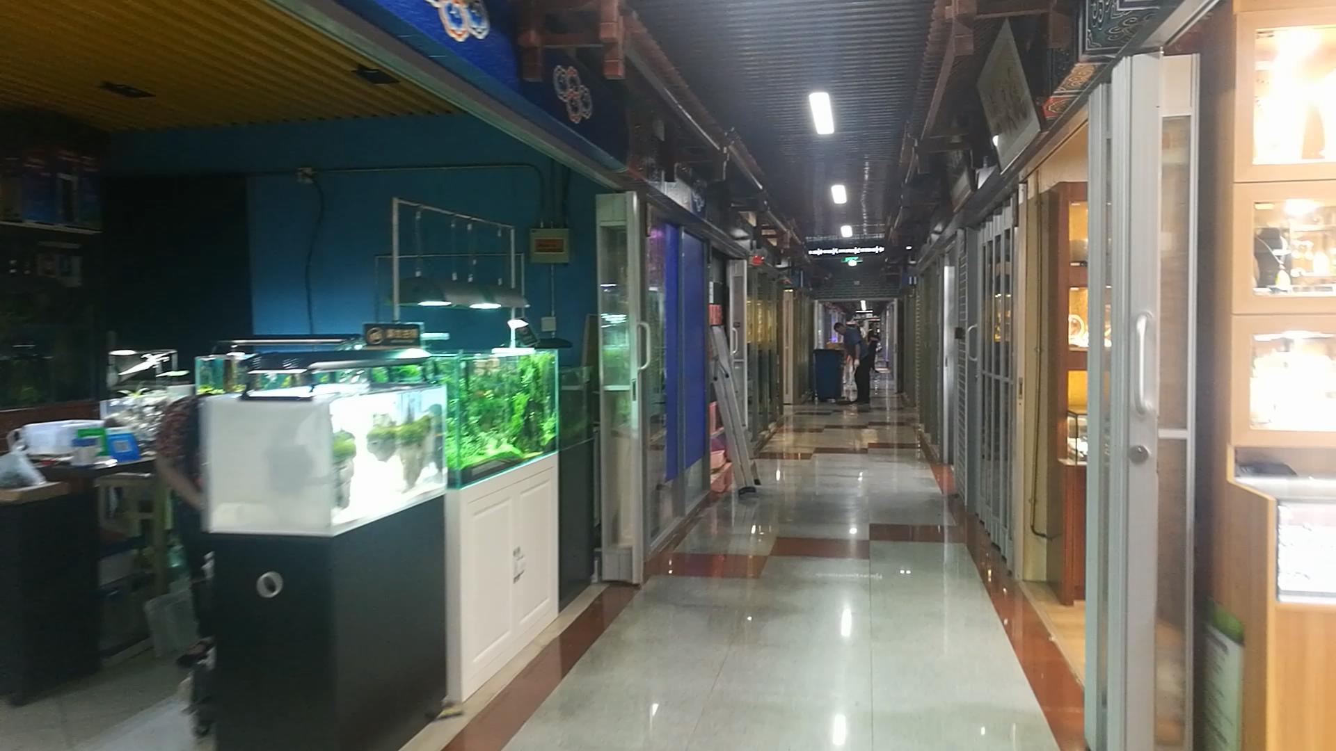 北京官园批发市场搬迁到哪里了,北京官园市场搬迁到哪里