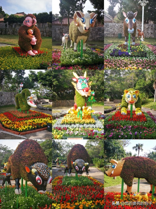 春节海洋旅游攻略,新春旅游推荐2-3天游