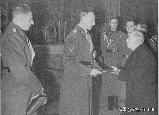 德意志黑王子,纳粹德国黑王子