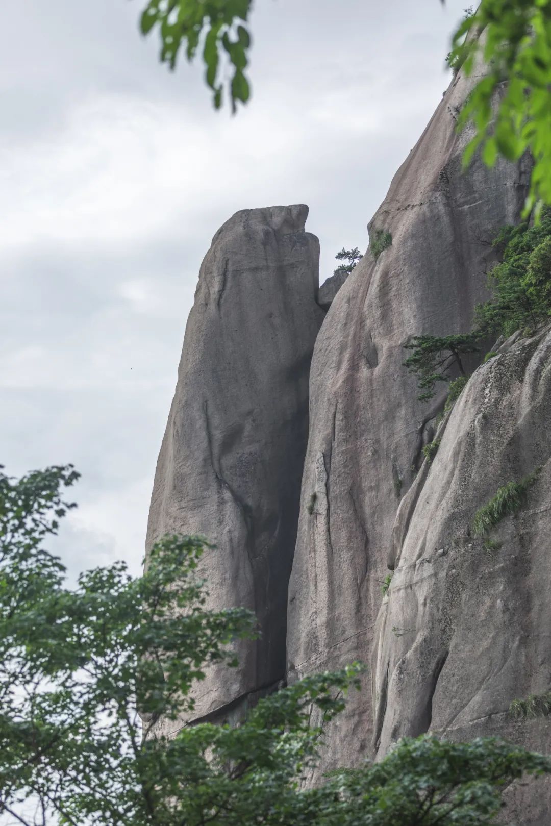 我国四大名山九华山,四大佛教名山哪个风景最美
