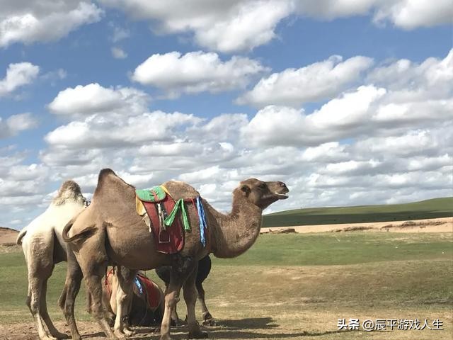 疫情下旅游人的悲哀,旅游者自述疫情