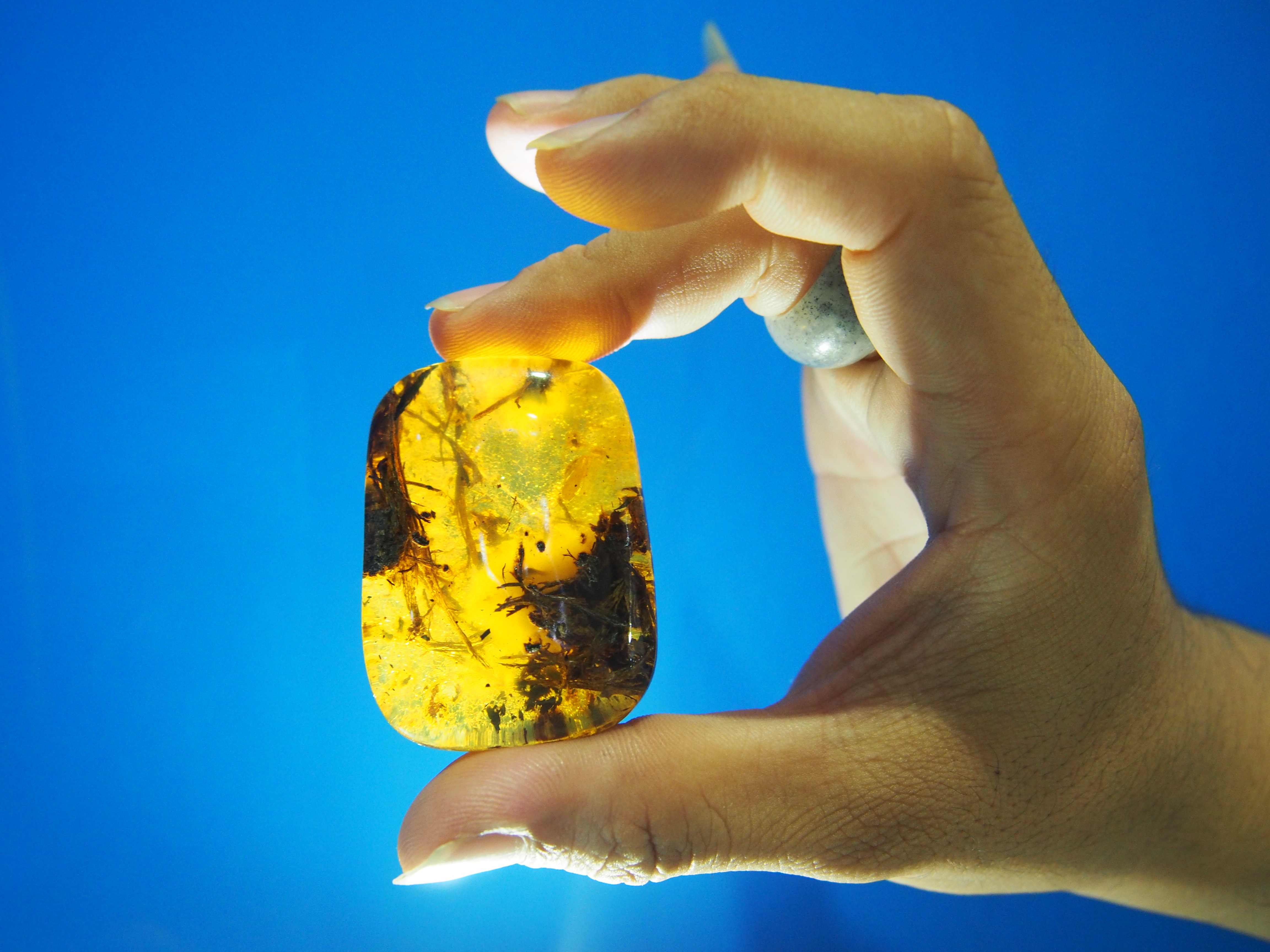 琥珀和蜜蜡是怎么辨别真假的,真假琥珀蜜蜡的鉴别最简单