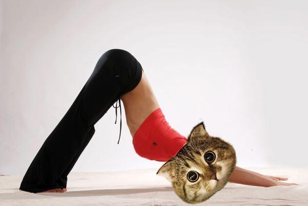 瑜伽入门动作下犬式的慢动作分解,瑜伽单腿下犬式怎么做到不翻胯